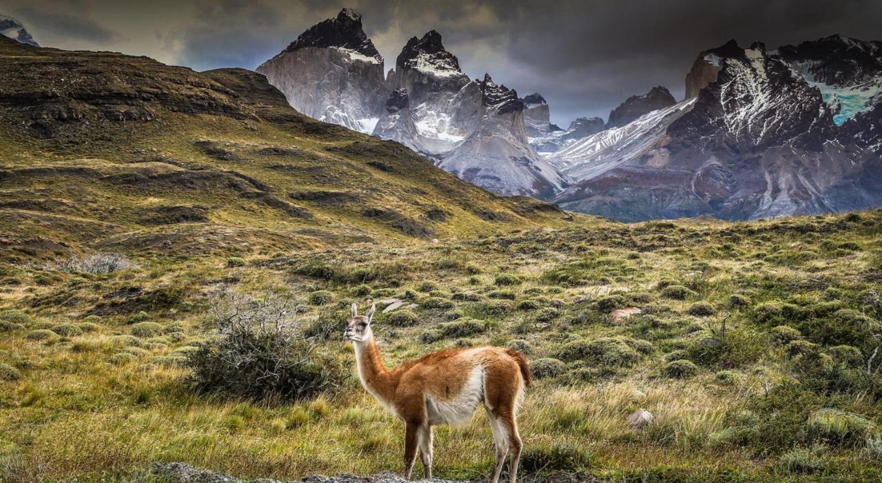 Rio Serrano Hotel + Spa Torres del Paine National Park Bagian luar foto